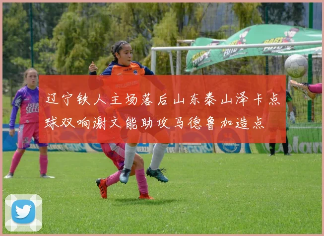 辽宁铁人主场落后山东泰山泽卡点球双响谢文能助攻马德鲁加造点