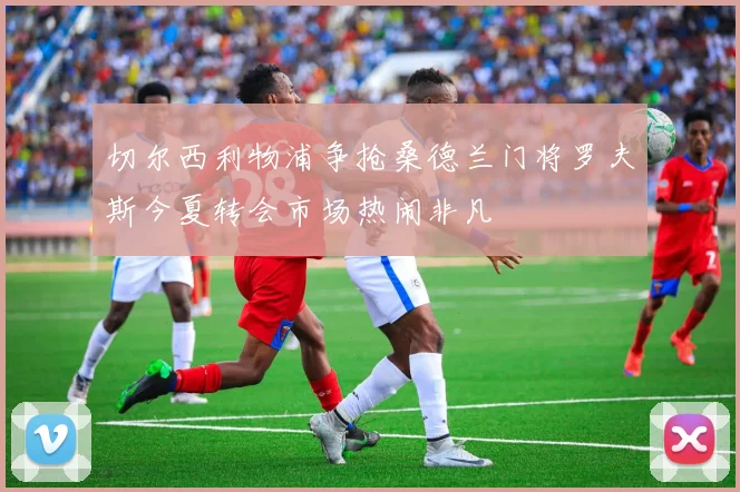 切尔西利物浦争抢桑德兰门将罗夫斯今夏转会市场热闹非凡