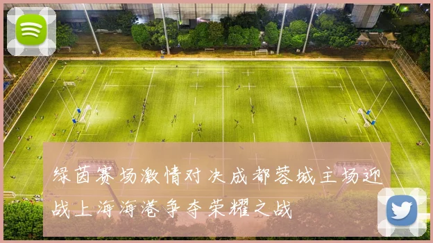 绿茵赛场激情对决成都蓉城主场迎战上海海港争夺荣耀之战