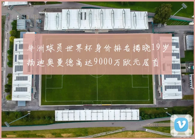 非洲球员世界杯身价排名揭晓19岁扬迪奥曼德高达9000万欧元居首