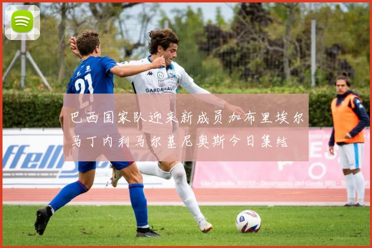 巴西国家队迎来新成员加布里埃尔马丁内利马尔基尼奥斯今日集结