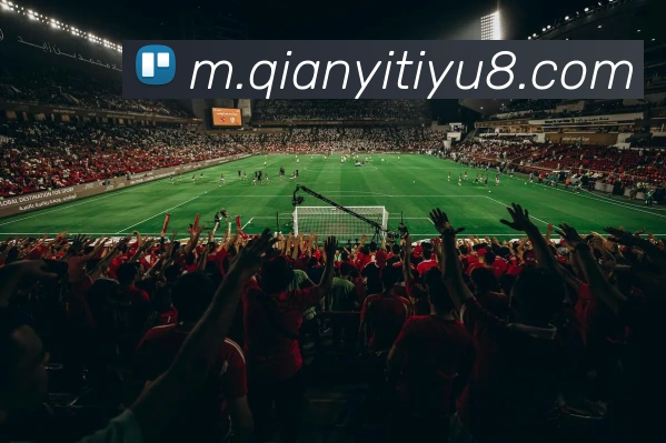 多媒体互动体验